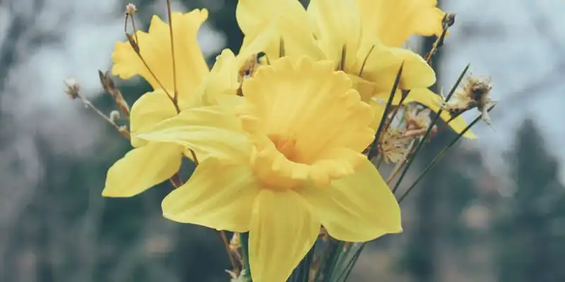 Blog: Reflections on Spring – Trauma & Triggers